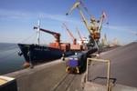 фото Стивидорные услуги в морском порту Николаев / Stevedoring services at the port of Nikolaev