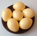 фото Яйцо искусственное подкладное куриное (полое)