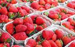 фото Продаем оптом любая клубника и любые другие ягоды из хранилищ по всей России
