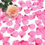 фото Розово-нежно розовые лепестки