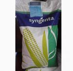 фото Семена гибридов кукурузы (Рioneer, NS, Monsanto, Limagrain, Singenta, Еuralis)